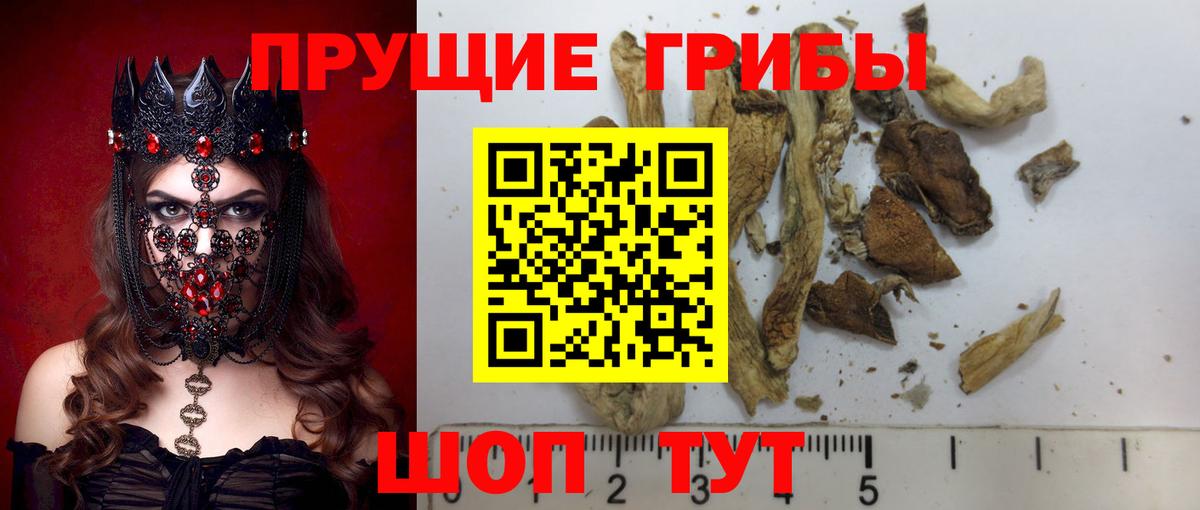Галлюциногенные грибы Magic Shrooms  Вход с VPN  Галлюциногенные грибы мицелий  Ярцево 